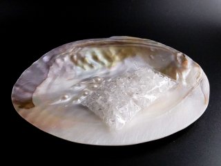 貝殻浄化セット（水晶さざれ付）