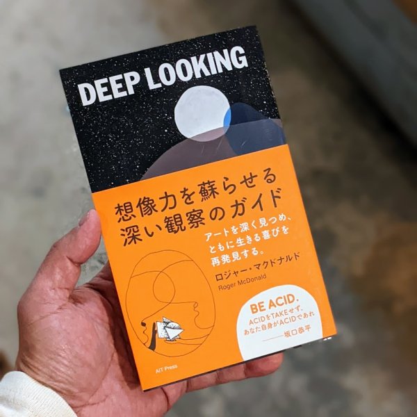 DEEP LOOKING 想像力を蘇らせる深い観察のガイド ロジャーマクドナルド AIT PRESS