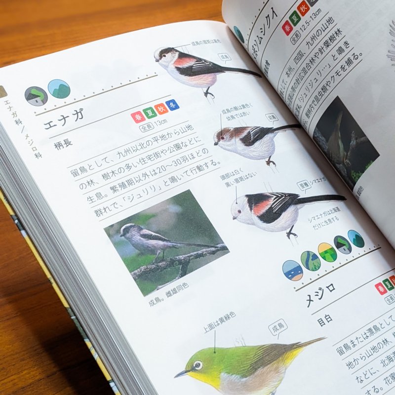 野鳥手帳 「あの鳥なに？」がわかります！ 叶内拓哉（文・写真）水谷高英（イラスト） 文一総合出版/とほん通販