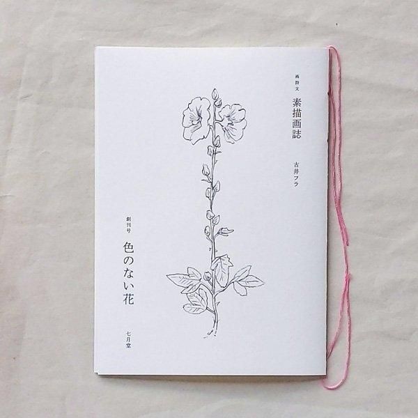 画詩文 素描画誌 創刊号「色のない花」 | 古井フラ | 七月堂 - とほん通販
