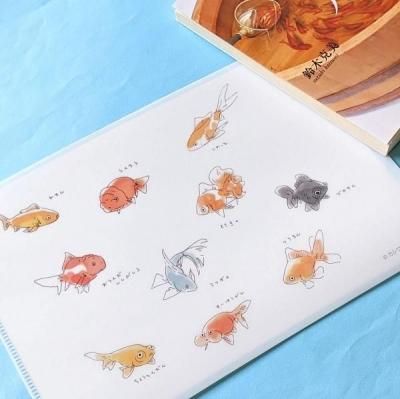 の (福音館) junaida (著)自然と冒険をテーマにした絵本 の junaida 福音館書店
