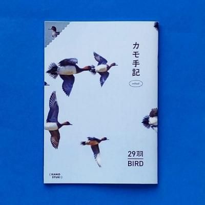 국 2024-2025