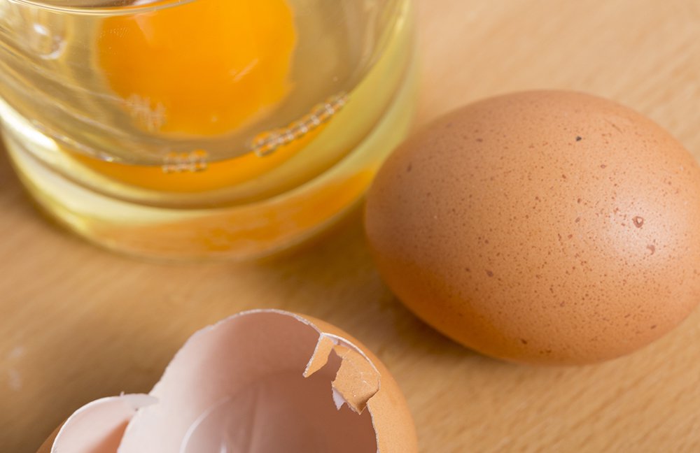 卵と体の関係