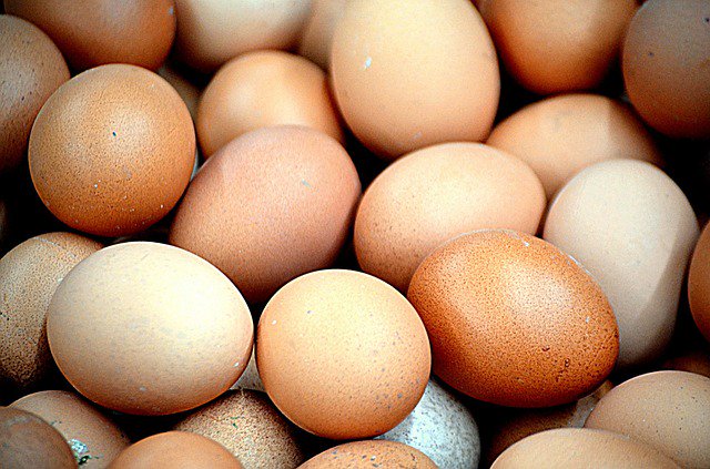 卵の栄養バランス
