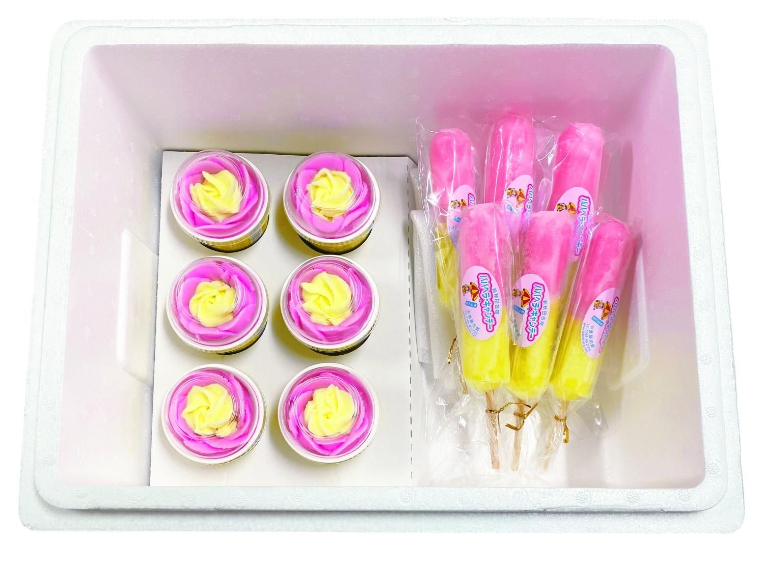 ぷに丸 アイスキャンデー 訳あり セット バラ売り可