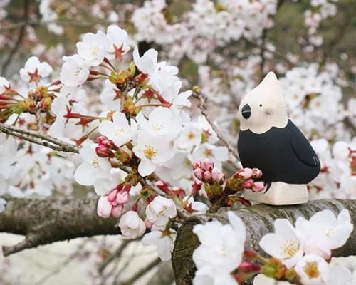 ぽれぽれ動物/オカメインコ - PoLeToKo Online Store