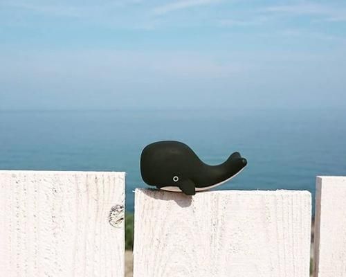 ぽれぽれ動物/クジラ - PoLeToKo Online Store