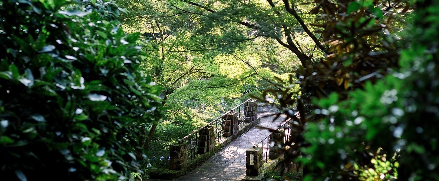 伊万里鍋島焼窯元「青山窯」Online store 伊万里鍋島焼窯元「青山窯」Online store