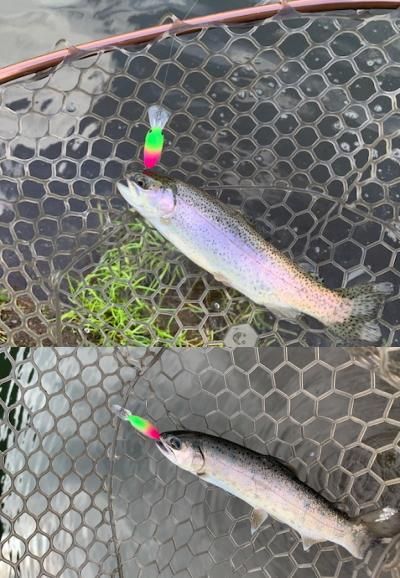 １セットのみ！サンクチュアリ限定オリカラ「クランクセット」 みどぴぃ〜のなど 1セットのみ！サンクチュアリ限定オリカラ「クランクセット」 みど