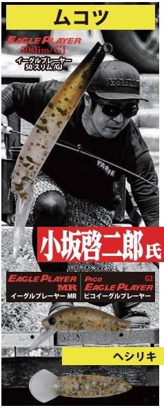 ディスプラウト,ヤリエコラボカラー