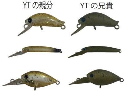 ディスプラウト,イーグルプレイヤー,アングラーズシステム