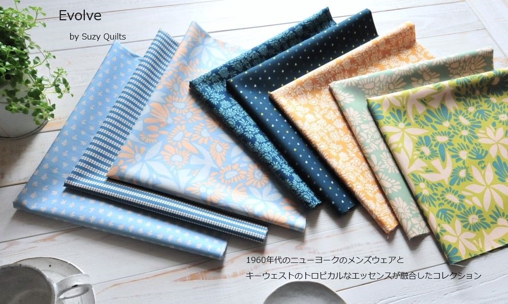 Evolve쥯ART GALLERY FABRICS