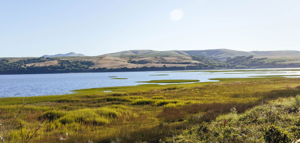 Tomales Bay photo gallery