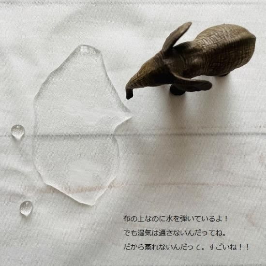 透湿防水布1m かわいい生地 チュニック パッチワーク の店 Feli Da フェリダ 透湿防水布1m かわいい生地 チュニック パッチワーク の店 Feli Da フェリダ