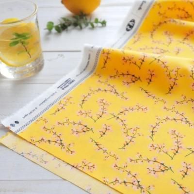 <img class='new_mark_img1' src='https://img.shop-pro.jp/img/new/icons38.gif' style='border:none;display:inline;margin:0px;padding:0px;width:auto;' />ϡGinestra in Belvedere