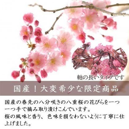 春先の八分咲きの八重桜の花を一つ一つ丁寧に摘み取り、塩と梅酢で漬け込んでいます。