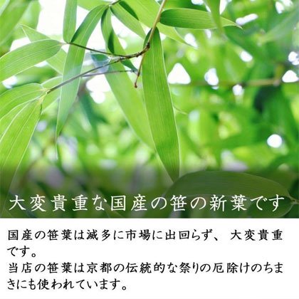大変貴重な国産の笹の新葉です。国産の笹葉は滅多に市場に出回らず、大変貴重です。当店の笹葉は京都の伝統的な祭りの厄除けのちまきにも使われています。