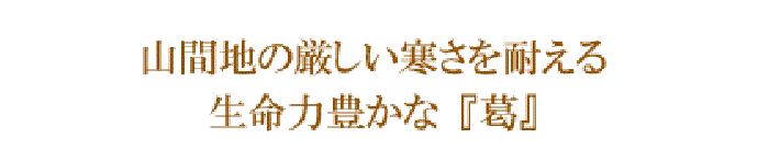 山間地
