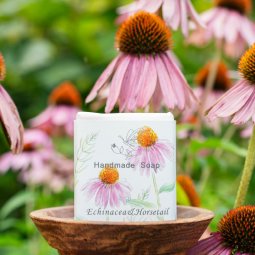 MOEGIꥸʥϥɥᥤɥסEchinacea & Horsetailʥʥۡơˡ