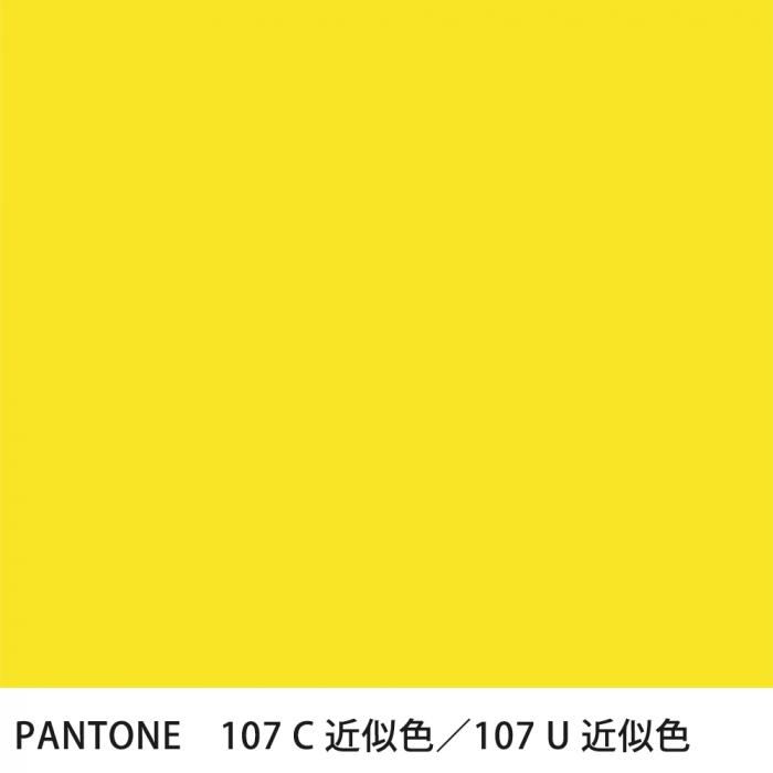  PANTONE 107C107U