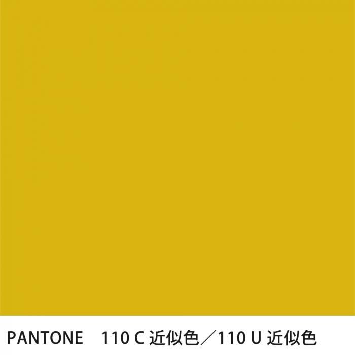  PANTONE 110C110U