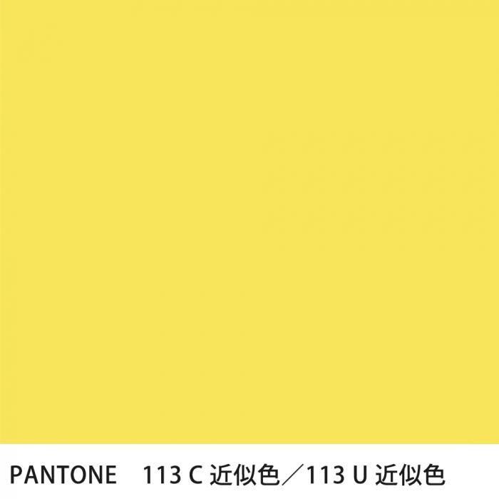  PANTONE 113C113U