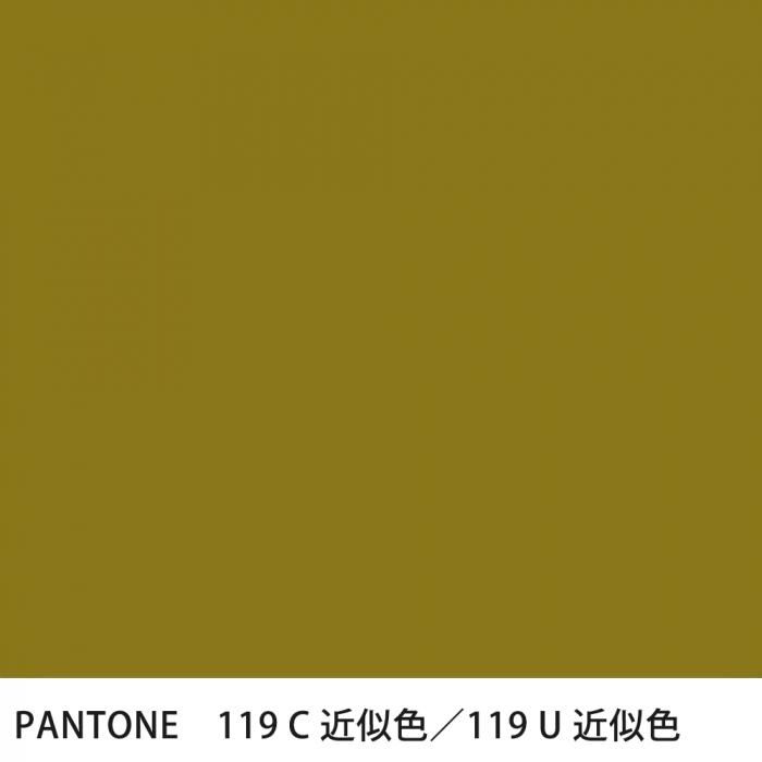  PANTONE 119C119U