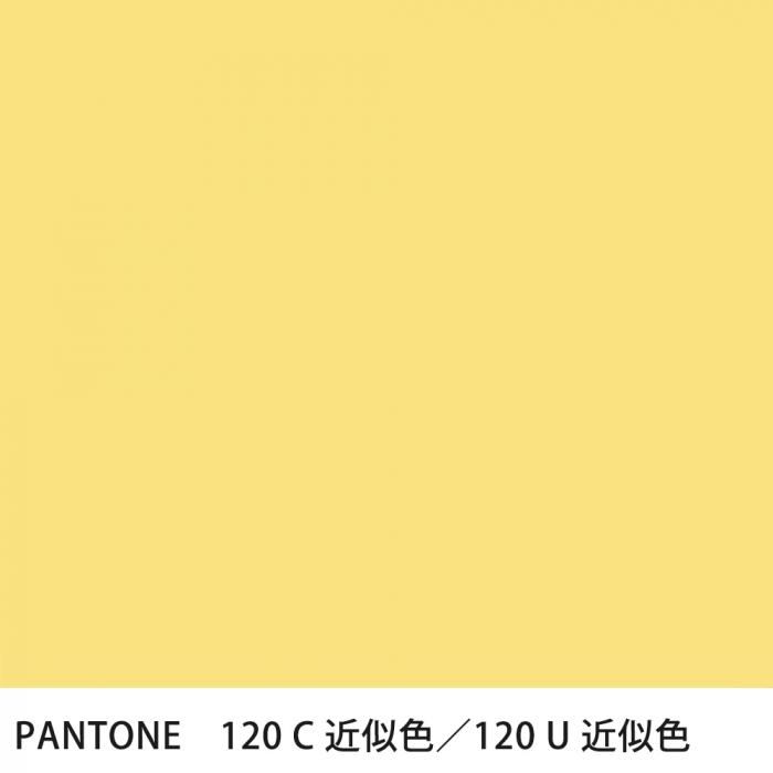  PANTONE 120C120U