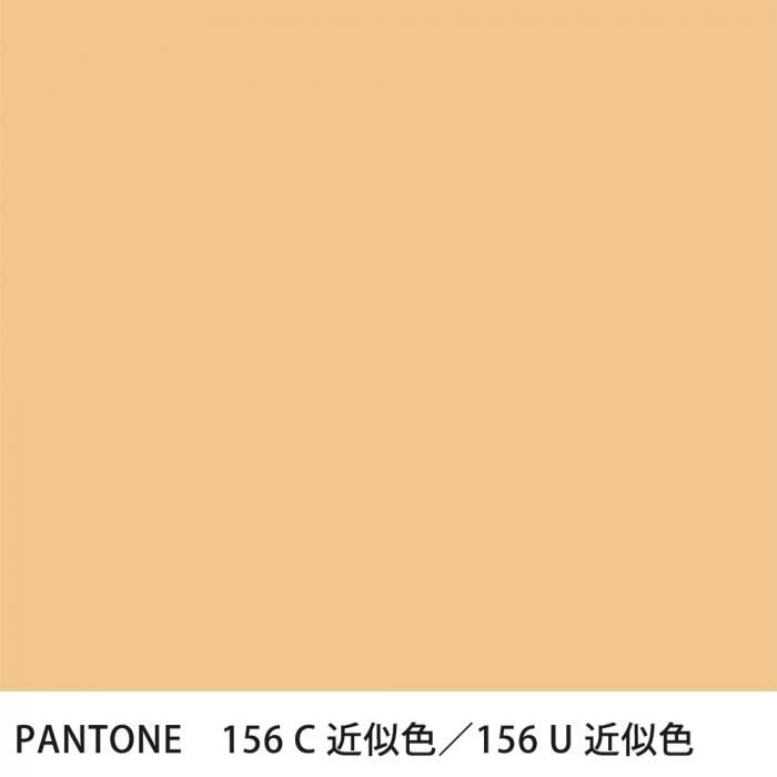  PANTONE 156C156U