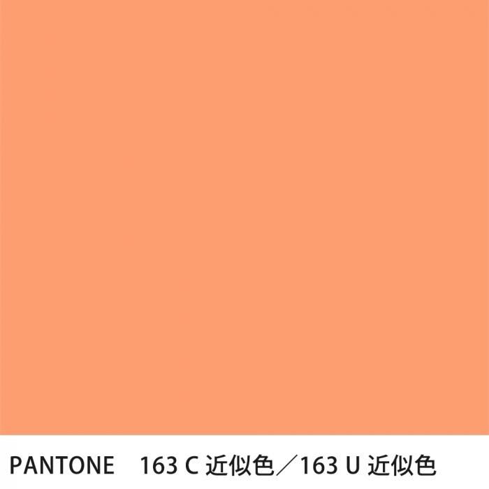  PANTONE 163C163U