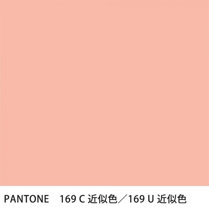  PANTONE 169C169U