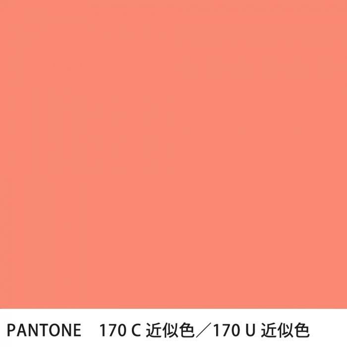  PANTONE 170C170U