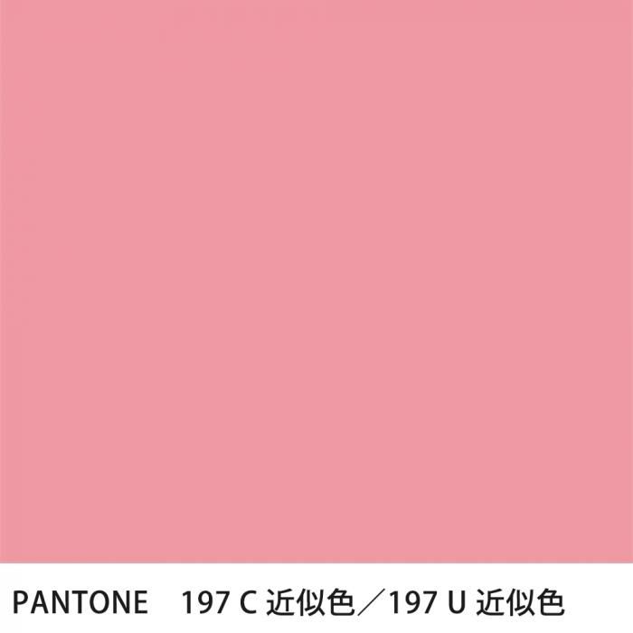 塗料作成 PANTONE近似色 197C／197U