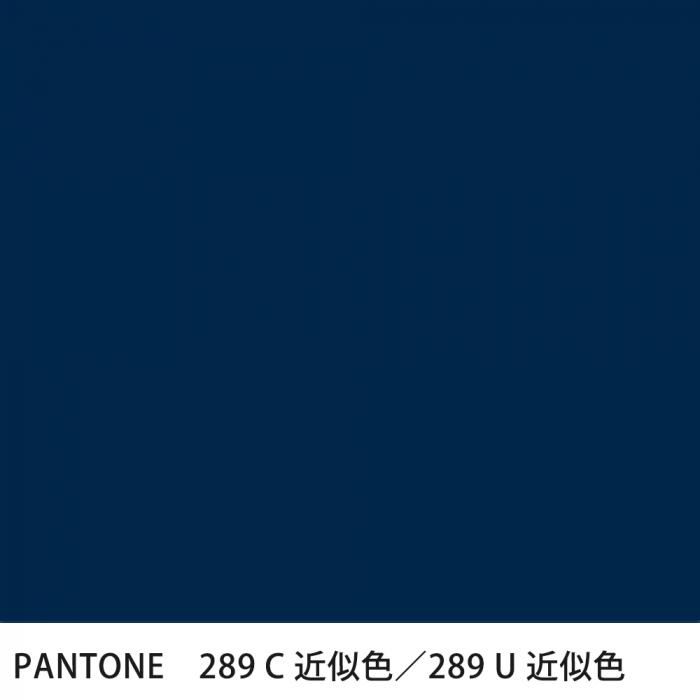  PANTONE 289C289U