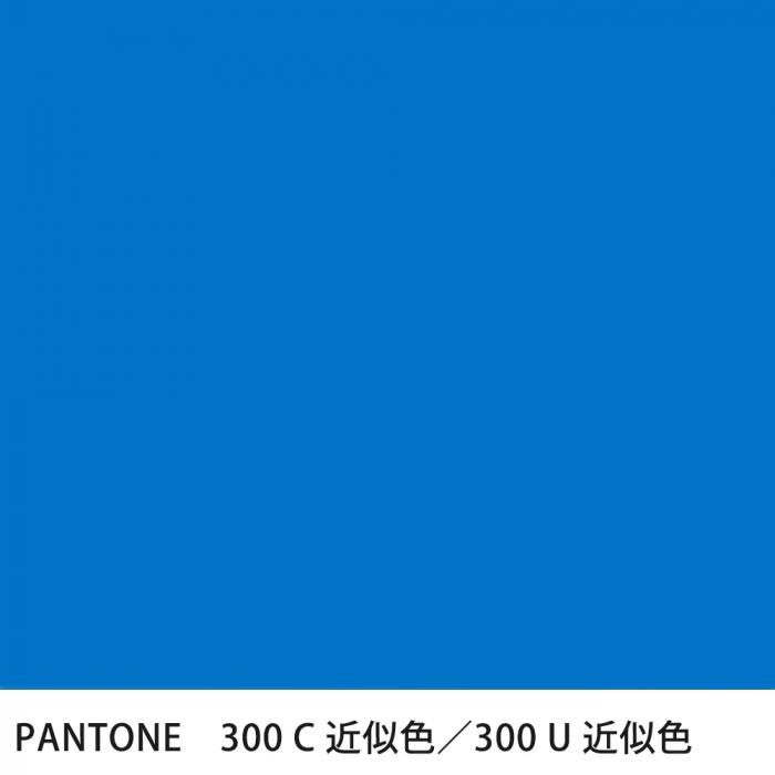  PANTONE 300C300U