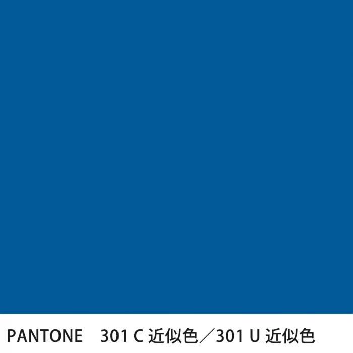  PANTONE 301C301U