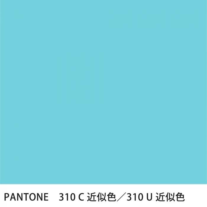  PANTONE 310C310U