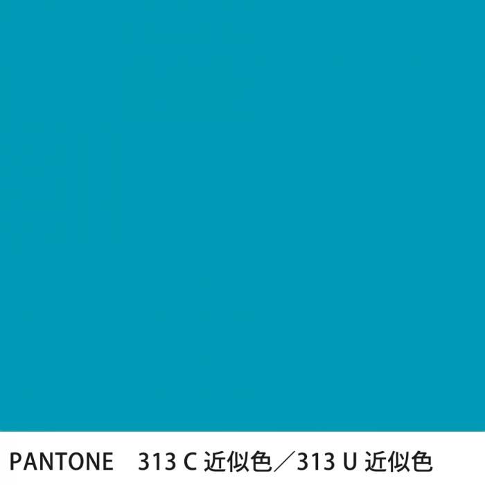  PANTONE 313C313U