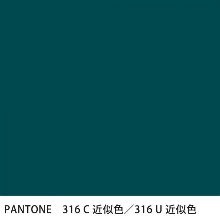  PANTONE 316C316U