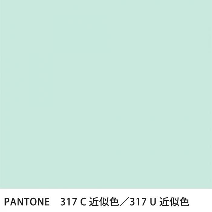  PANTONE 317C317U