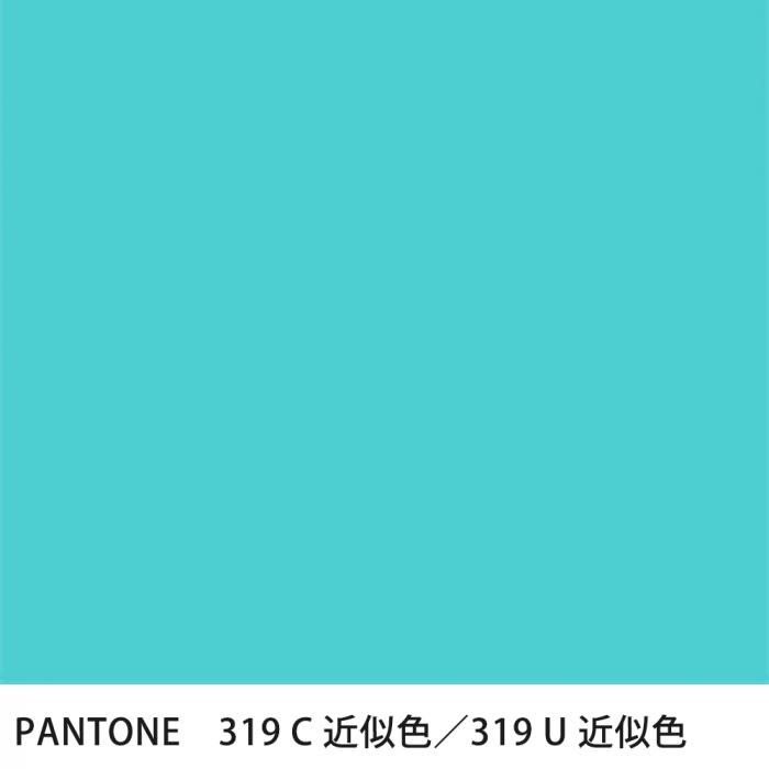  PANTONE 319C319U