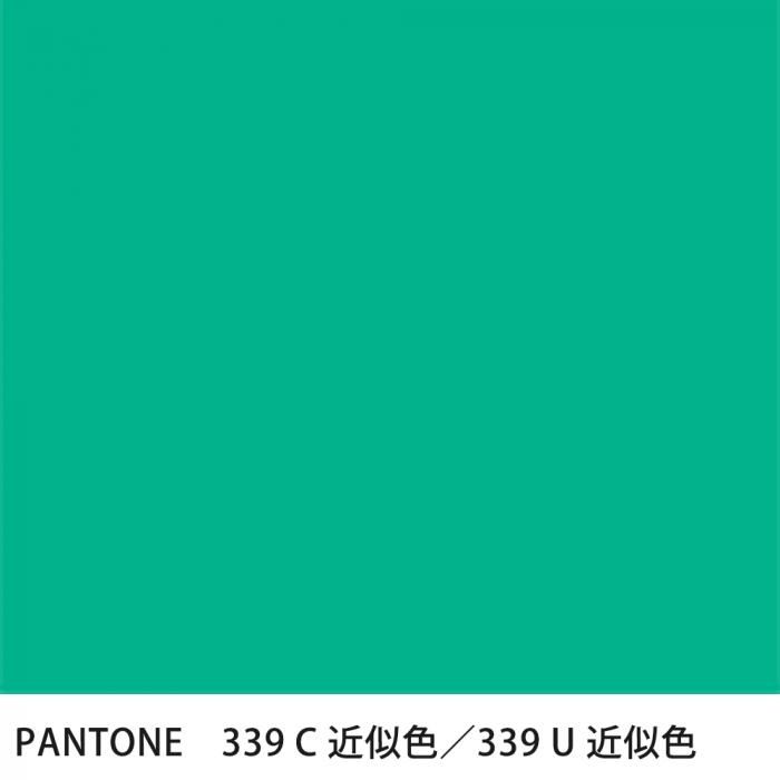  PANTONE 339C339U