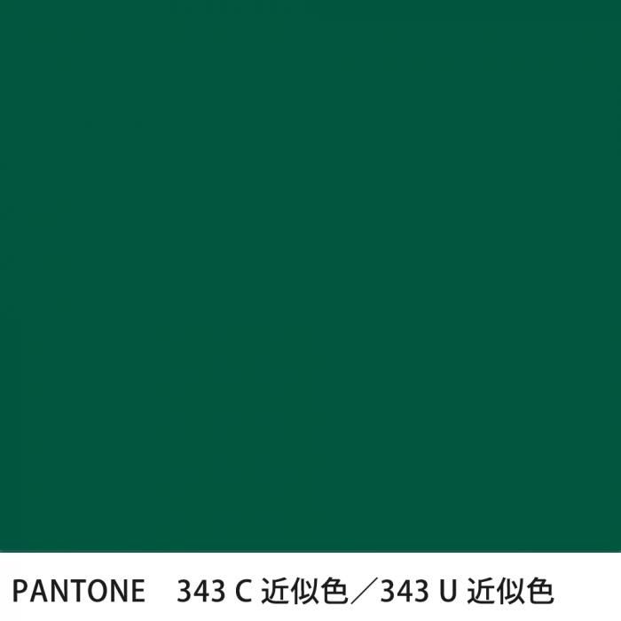  PANTONE 343C343U