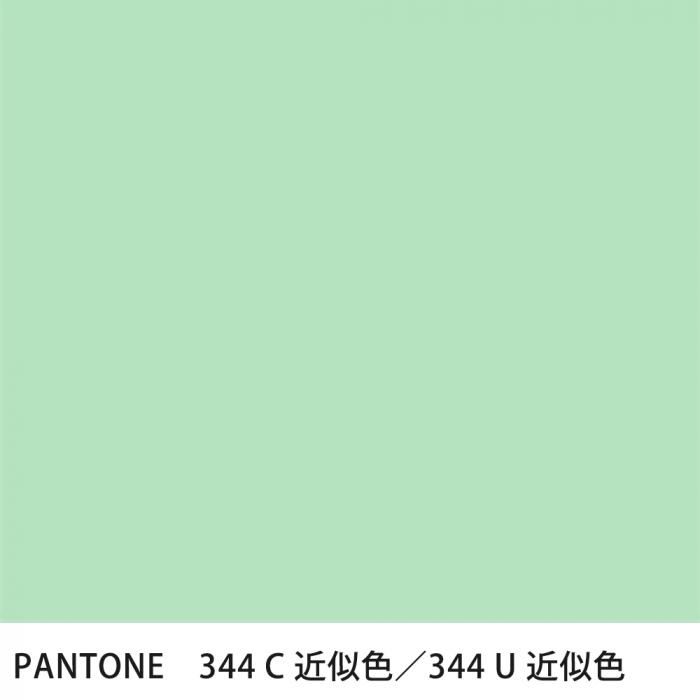  PANTONE 344C344U