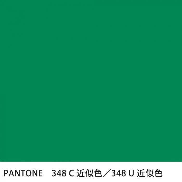  PANTONE 348C348U