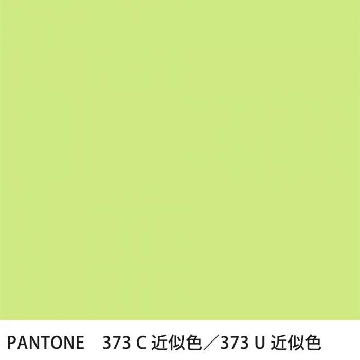  PANTONE 373C373U