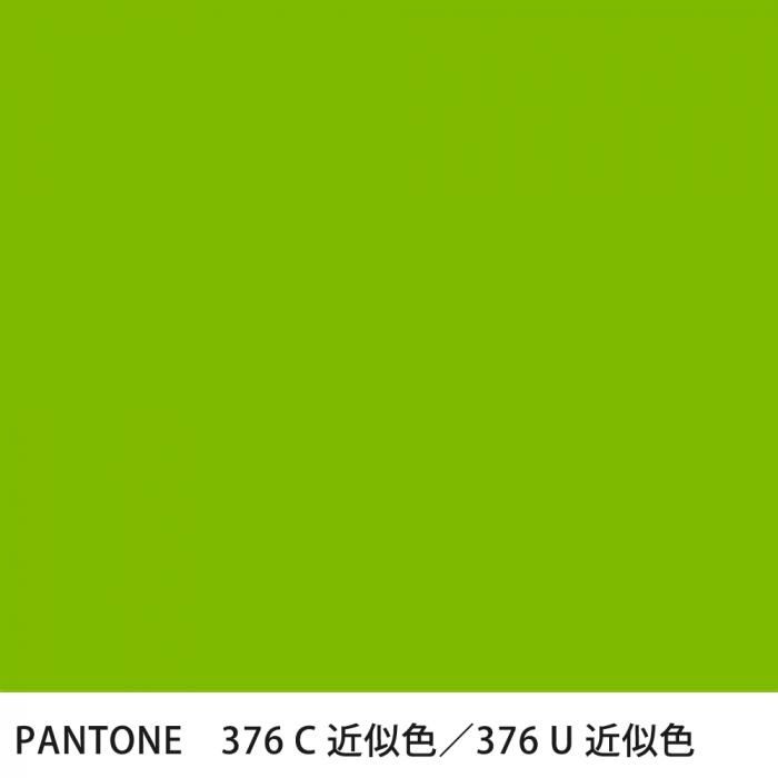  PANTONE 376C376U