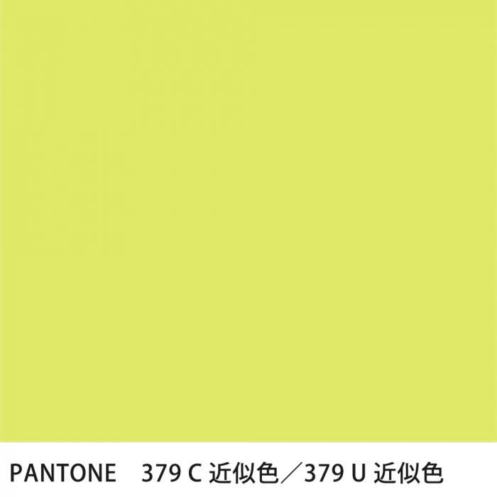  PANTONE 379C379U