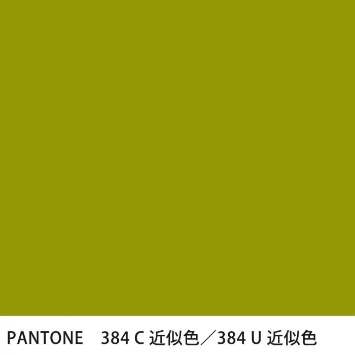  PANTONE 384C384U