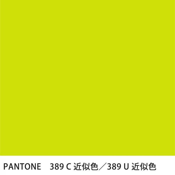  PANTONE 389C389U